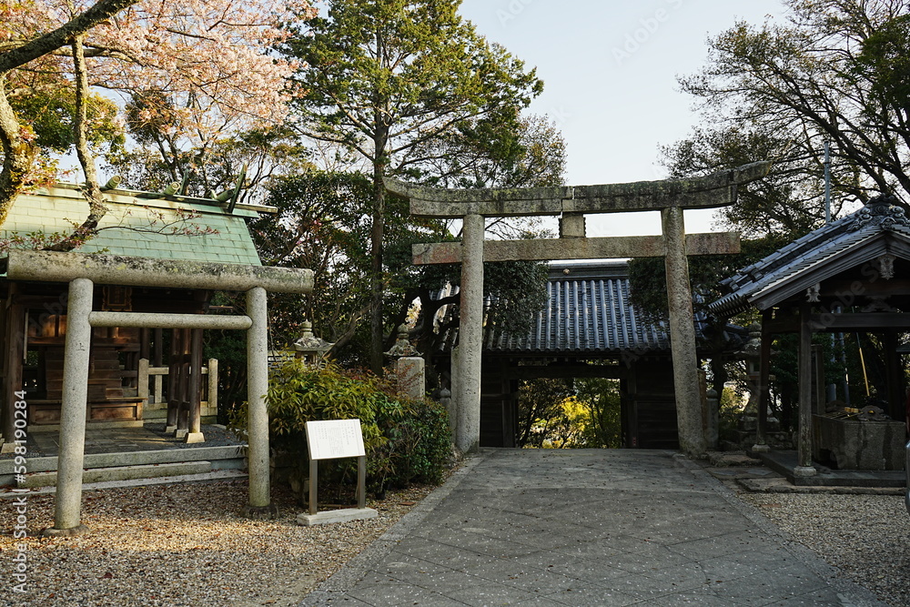 Fukurahachimanin-jinja or Shrine Awaji, Hyogo, Japan - 日本 兵庫 淡路島 住吉神社 福良八幡神社 Fukurahachimanin-jinja or Shrine Awaji, Hyogo, Japan - 日本 兵庫 淡路島 住吉神社 福良八幡神社
