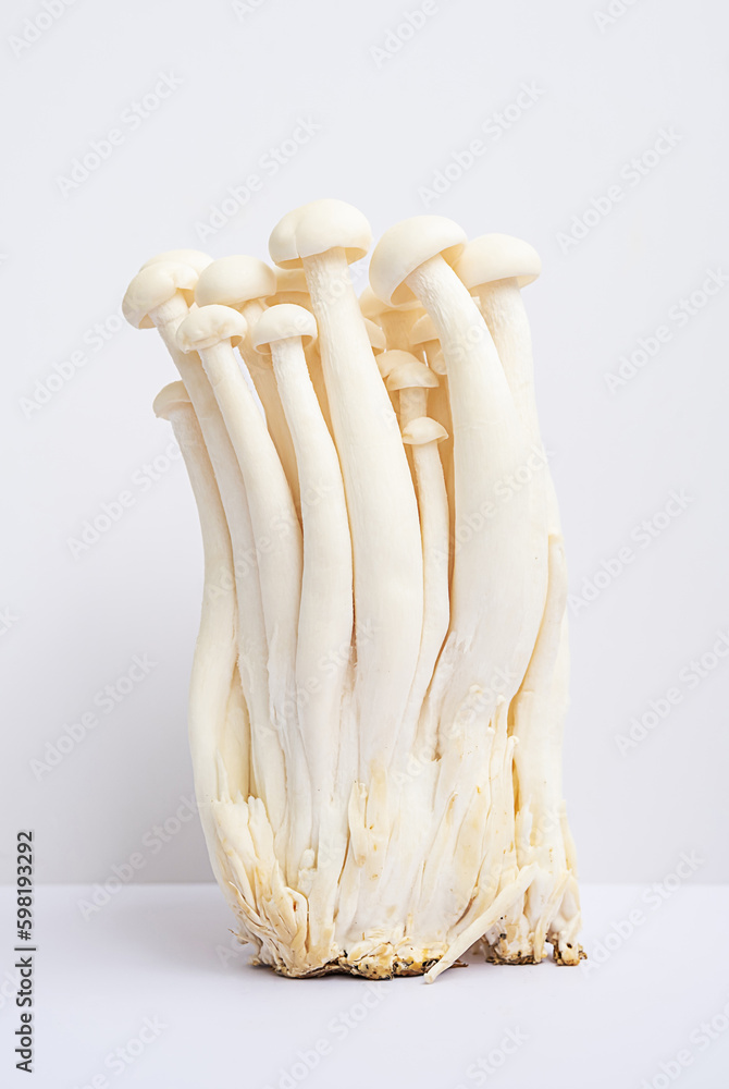 White beech mushrooms on white. White beech mushrooms on white.