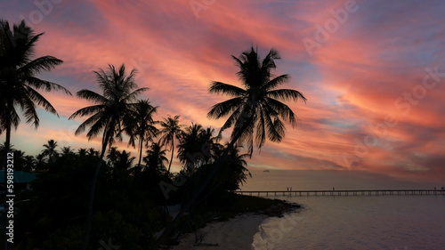 Summer with colorful theme as palm trees on the beach background