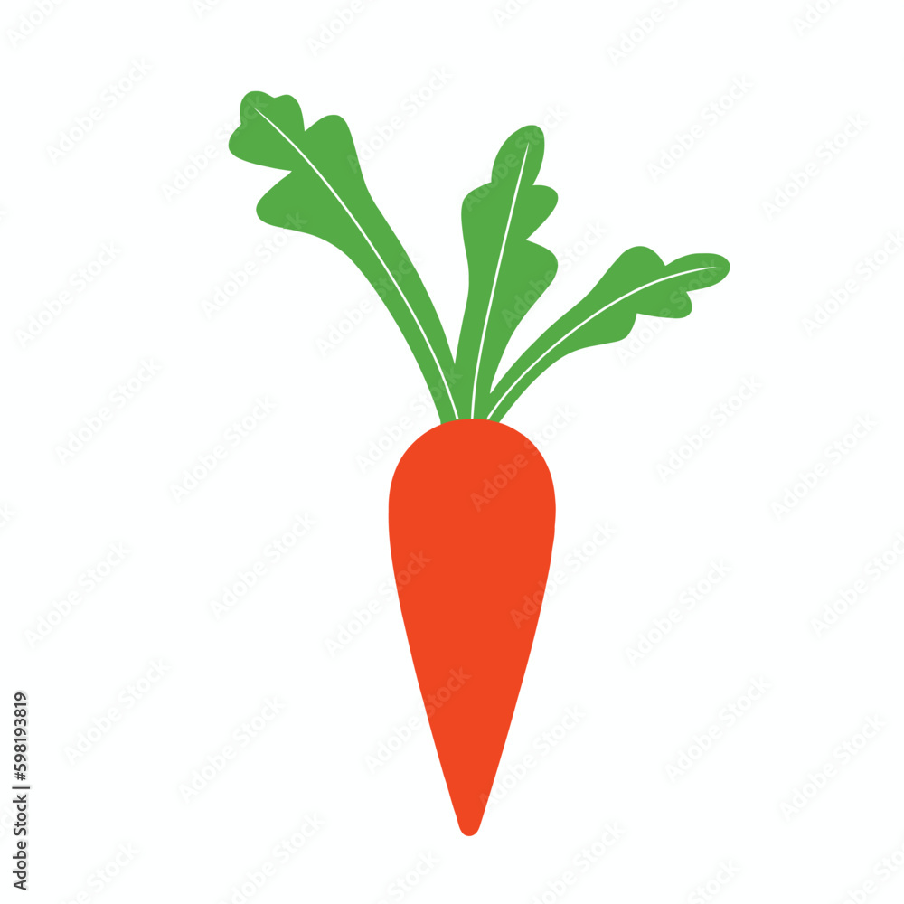 Carrot icon vector illustration Carrot icon vector illustration