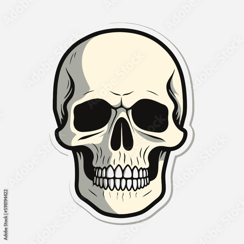 Anatomically correct human skulls set isolated. Hand drawn line art vector illustration.