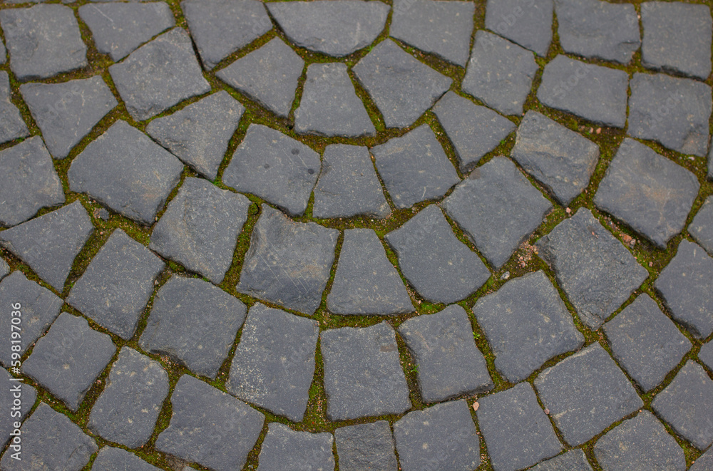 stone pavement backgroundin saint-petersburg near the hermitage