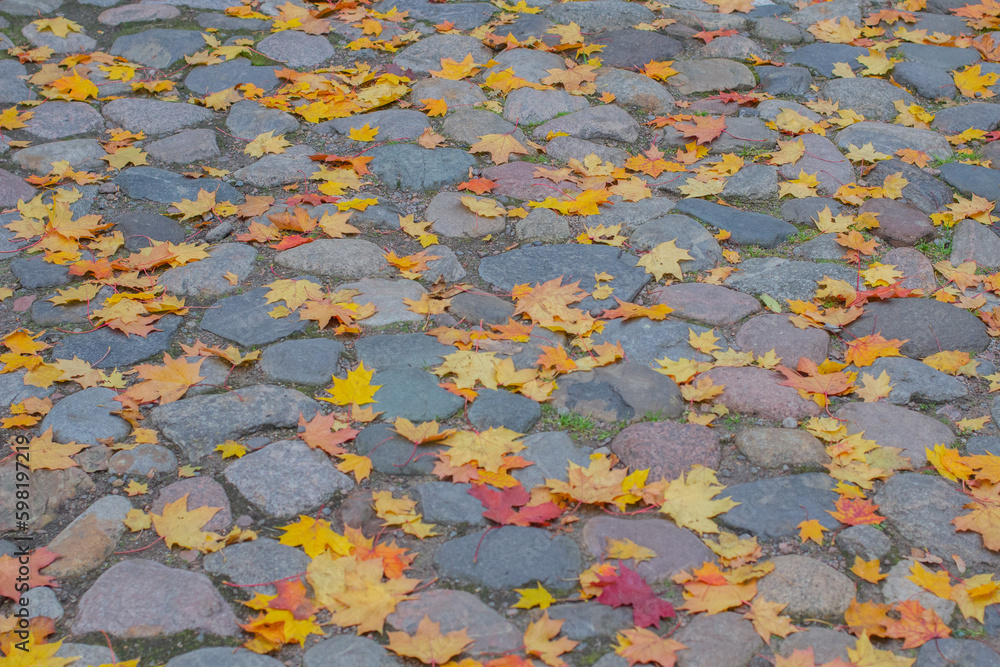 stone pavement texture with fallen leaves in saint-petersburg near the cemetery stone pavement texture with fallen leaves in saint-petersburg near the cemetery