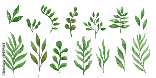 Collection of hand drawn watercolor leaves, branches, field plants. Watercolor illustration of natural plant elements isolated on white background.