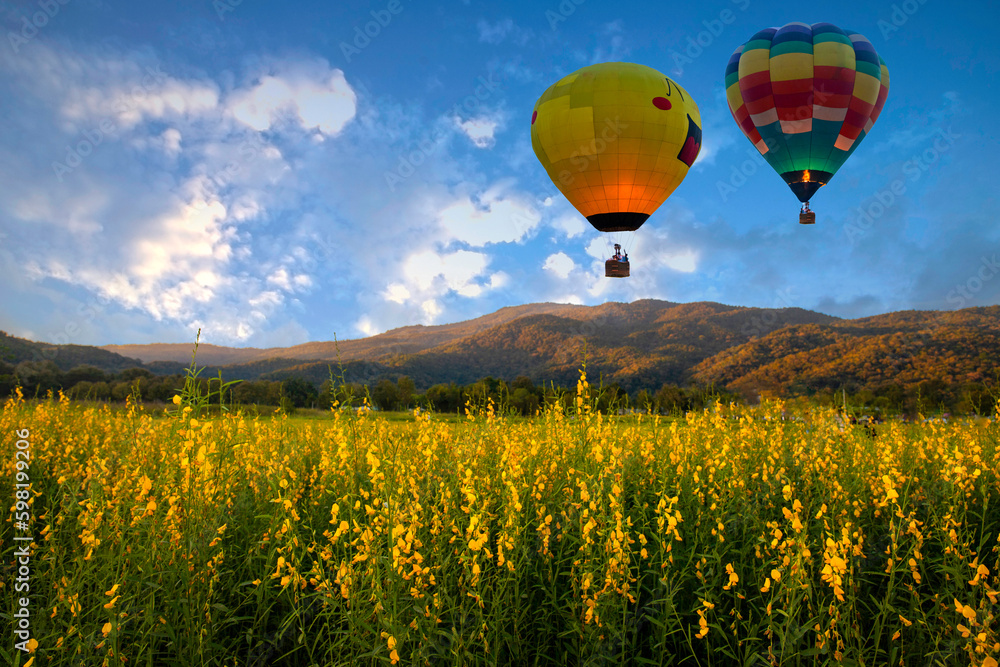 Naklejka premium Hot air balloon above flower field at morning in springtime