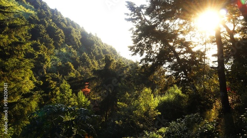 Nature view of Dieng  Indonesia