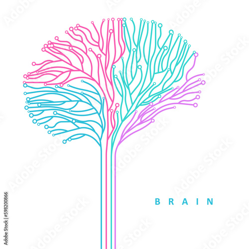 Abstract multicolored brain connections.