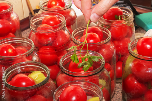 The process of preserving tomatoes for the winter. Ripe red juicy tomatoes in glass jars. © Horasiu