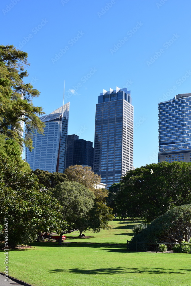 Skyscrapers in Sydney Harbour 