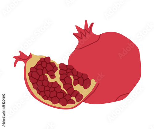Red Pomegranate Fruit with Seeds as Traditional Istanbul Symbol Vector Illustration