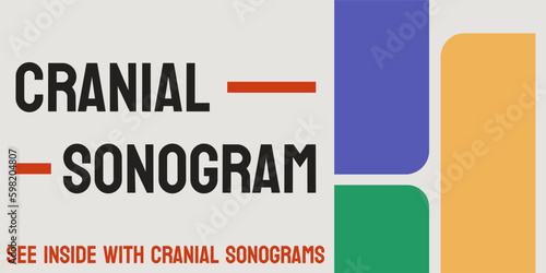 Cranial Sonogram: an ultrasound of the brain.
