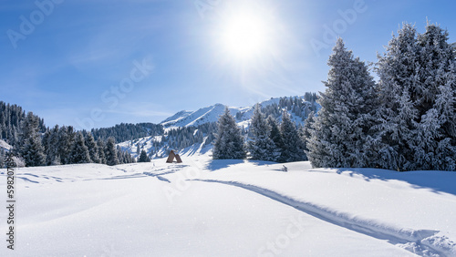 beautiful snowy forest. winter mountain plateau. snowy mountains © Daniil_98_03_09