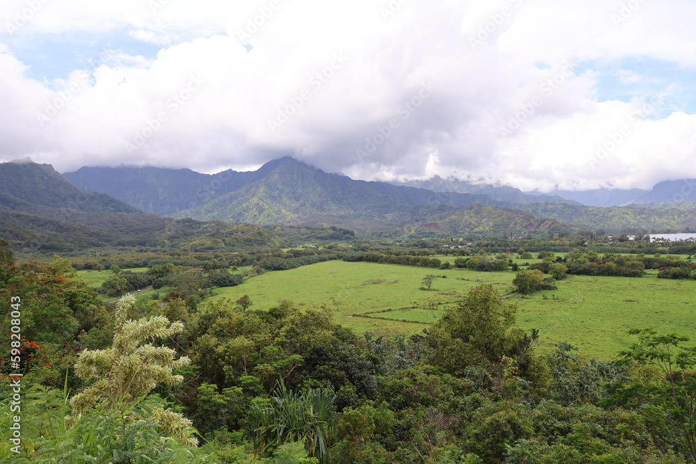 Fototapeta premium Kauai island