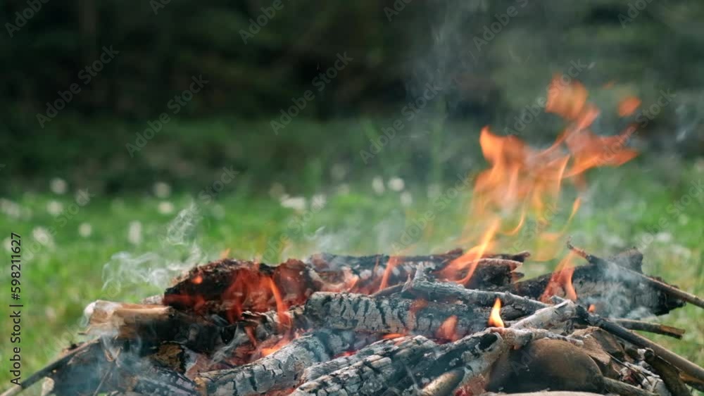 Campfire is burning in nature. Close up of bonfire from old branches on sunny summer or spring day. Flame of fire and smoke over fire. Camping vibes and outdoor lifestyle mood concept Campfire is burning in nature. Close up of bonfire from old branches on sunny summer or spring day. Flame of fire and smoke over fire. Camping vibes and outdoor lifestyle mood concept