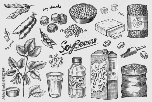 Soya beans. Milk and tofu. Soybean sketch. Pod on plant. Nuts and seeds in sack. Detailed vegetarian food and leaves drawing. hand drawn illustration for menu, label, icon or poster. Generative AI