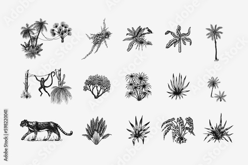 Wild tiger and exotic plants. Toucan bird and monkey. Banana and agave and succulent. Tropical trees. Eastern landscape. Exotic nature. Linear Jungle. Hand drawn sketch in vintage style. Generative AI