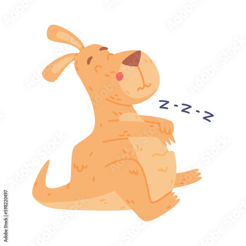 Funny Kangaroo Marsupial Animal Sleeping and Snoring Vector Illustration