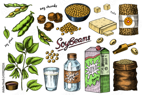 Soya beans. Milk and tofu. Soybean sketch. Pod on plant. Nuts and seeds in sack. Detailed vegetarian food and leaves drawing. hand drawn illustration for menu, label, icon or poster. Generative AI
