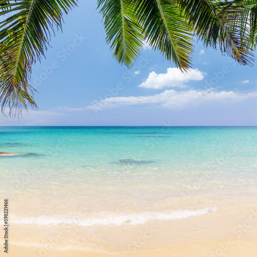 Sunny vacation landscape of sea, palms and sky © karandaev