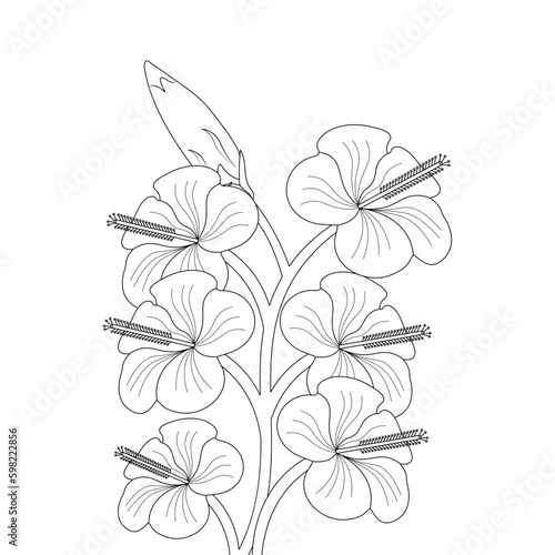 Hibiscus Flower Coloring Page Doodle Style Illustration Line Art Vector