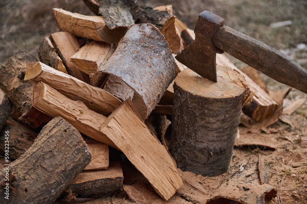 Still life. Close-up shot of a wood-burning ax and firewood for the winter in a rustic style. Ax and firewood in the yard or coniferous forest. Cutting wood in the forest for fire heat Still life. Close-up shot of a wood-burning ax and firewood for the winter in a rustic style. Ax and firewood in the yard or coniferous forest. Cutting wood in the forest for fire heat