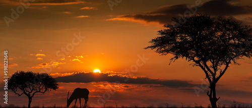 Photography Silhouettes of african wild animals at sunset