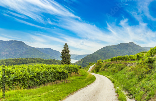 Scenic View into the Wachau valley with Danube river. Spitz town. Austria.