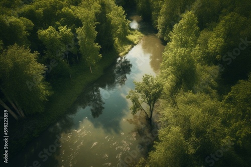 Aerial scenic view of a forest road with trees and water on either side. Generative AI