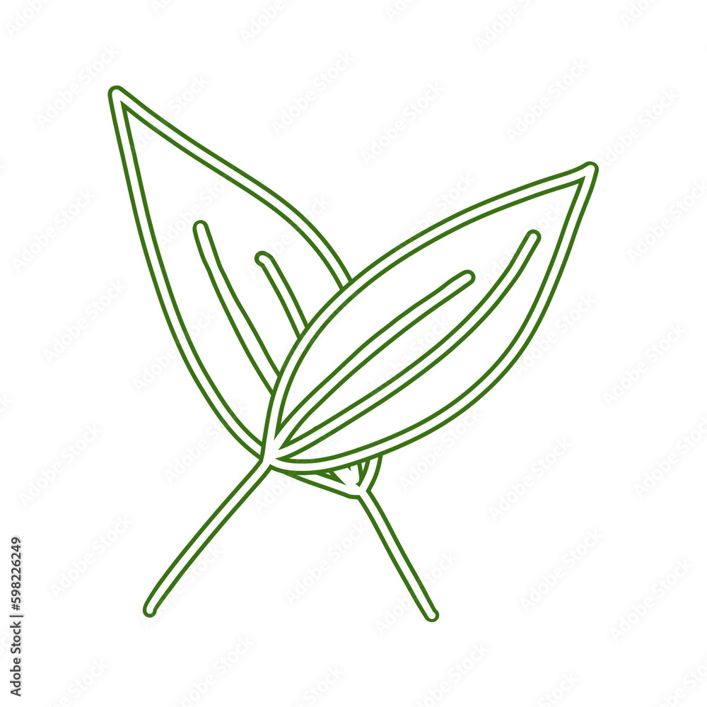 Leaves Leaves