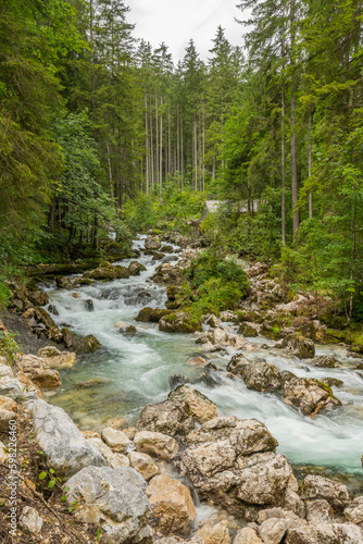 Wild alpine river with bolders and rocks in the water and pine trees on both riverbanks in Austria. Alps, summer, day.