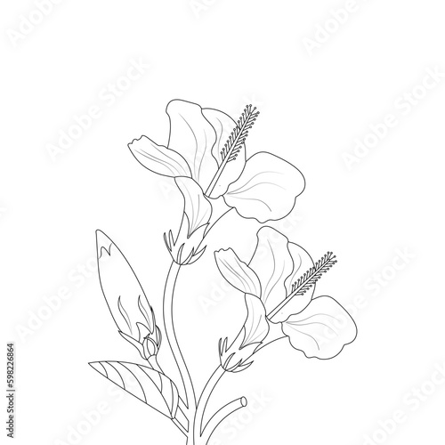  Hibiscus Flower Coloring Page Doodle Style Illustration Line Art Vector