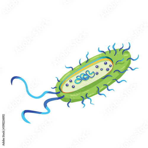 Bacteria structure vector illustration isolated on white square background. Medical and biology educational drawing with cartoon simple flat style.