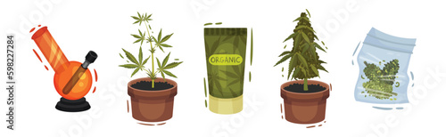 Cannabis Product with Growing Plant in Pot, Organic Cream Tube and Bong Vector Set