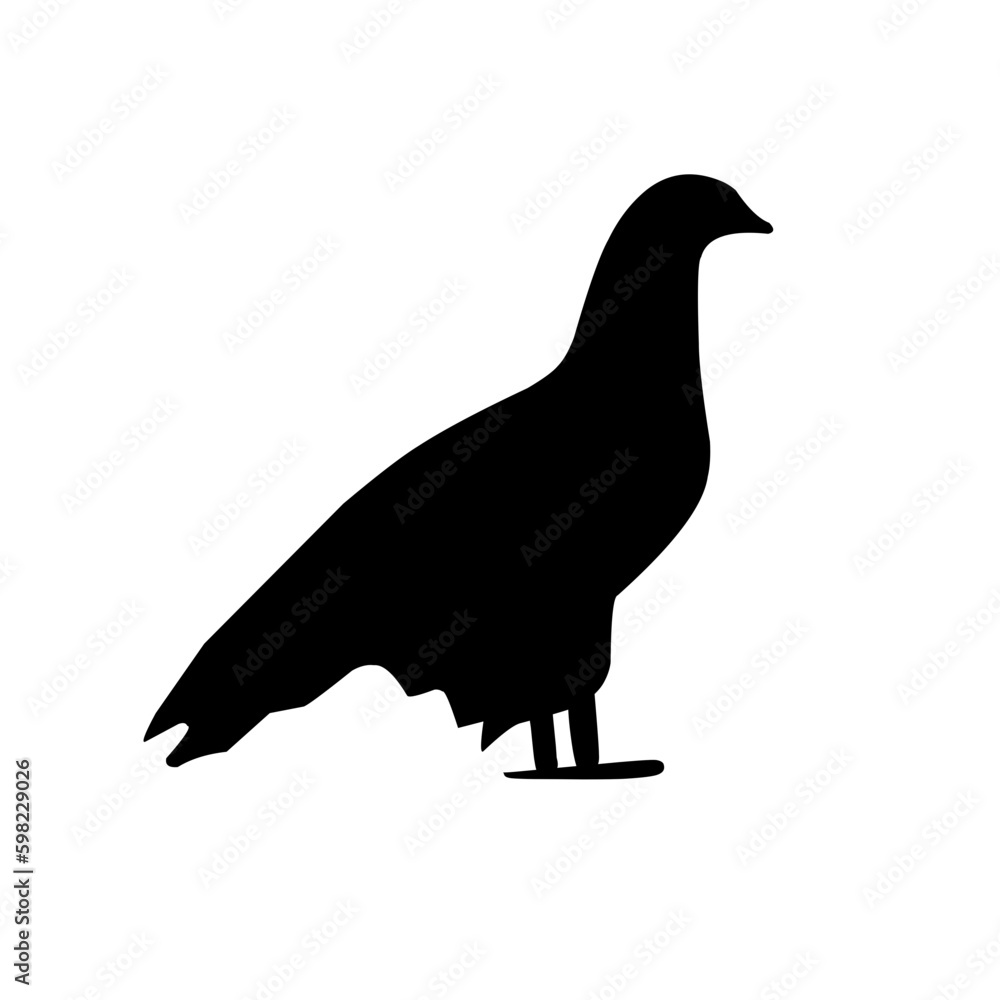 Obraz premium bird vector illustration silhouette