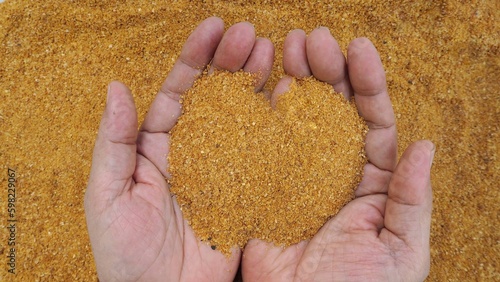 DDGS is an excellent source of digestible protein and energy for cattle. It is highly palatable with a good source of organic phosphorus and high in protein and high energy ,showing in man's hands