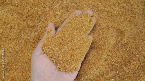 grain in a hand DDGS is an excellent source of digestible protein and energy for cattle. It is highly palatable with a good source of organic phosphorus and high in protein and high energy ,