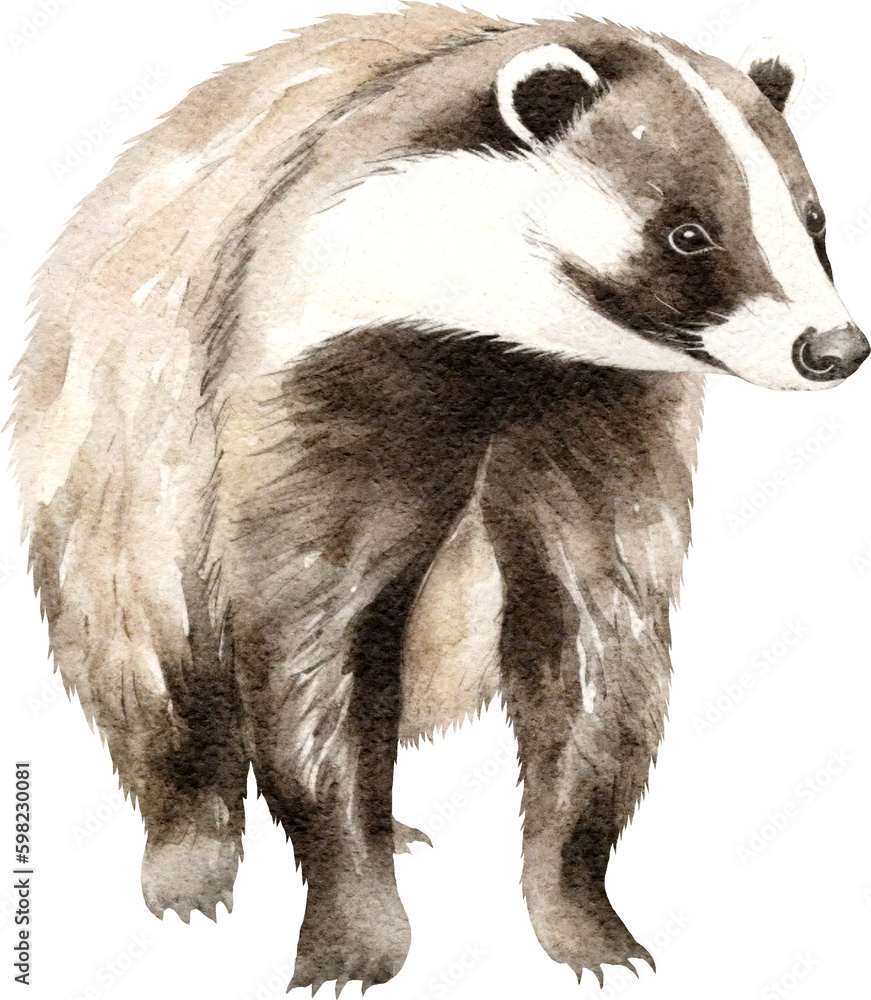 Obraz premium Badger illustrations created with Generative AI technology