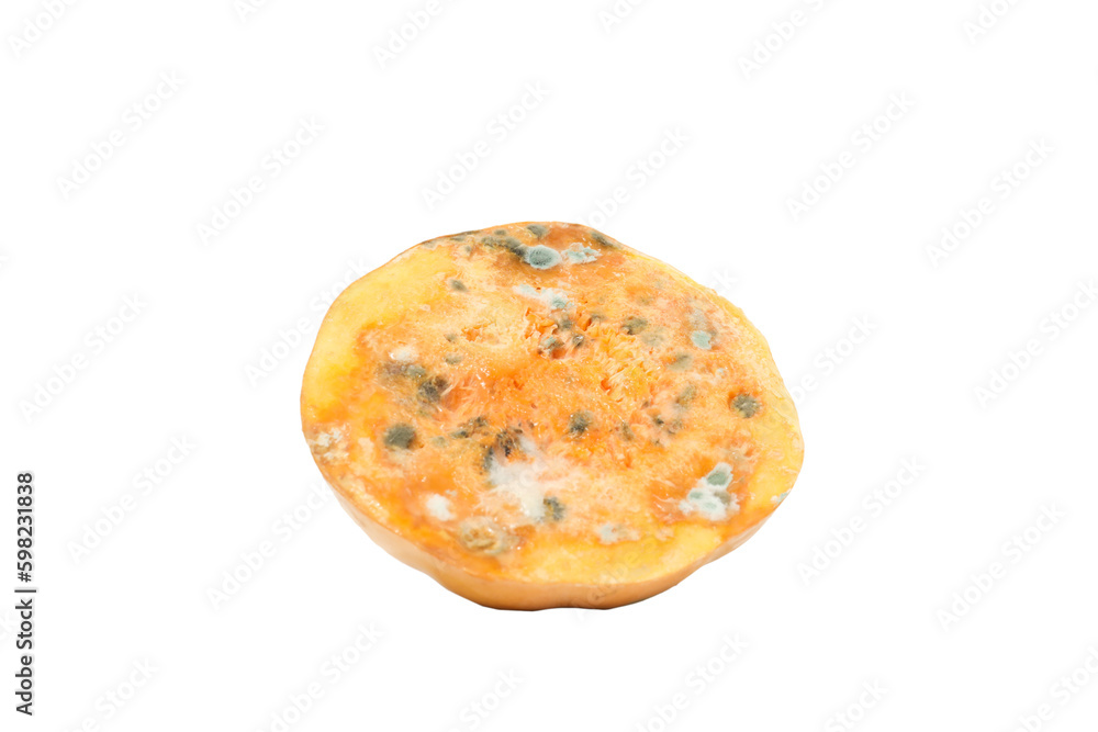 Pumpkin with mold, isolated on white background Pumpkin with mold, isolated on white background