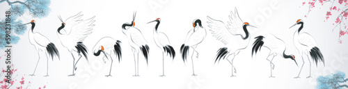 Japanese red-crowned crane birds in oriental style, sakura blossom and pine tree branches.