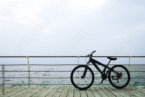 Sea view with bicycle, space for text