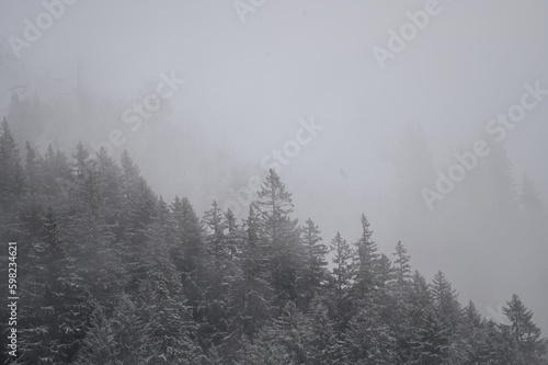 fog in the mountains © Luke