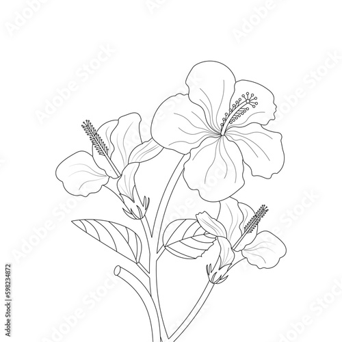 Hibiscus Flower Drawing Coloring Page With Doodle Art Line Art Vector On White Background