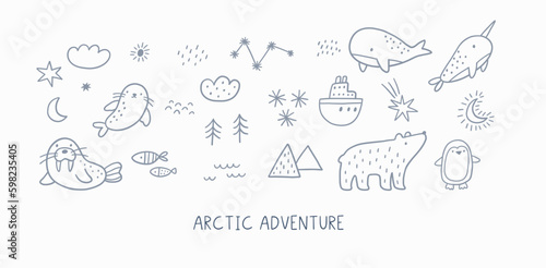 Cute cartoon arctic animais in doodle style. Arctic adventure vector print with bear, seal, whale, walrus, stars, tree, ocean