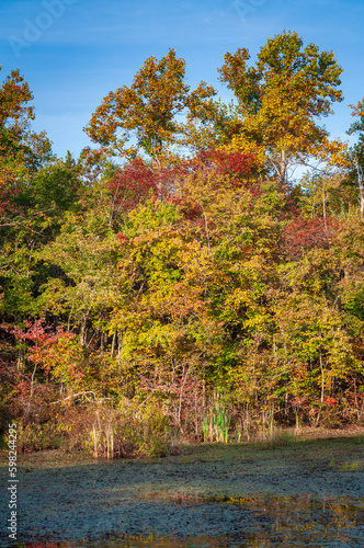 The Wetlands at Mammoth Cave National Park