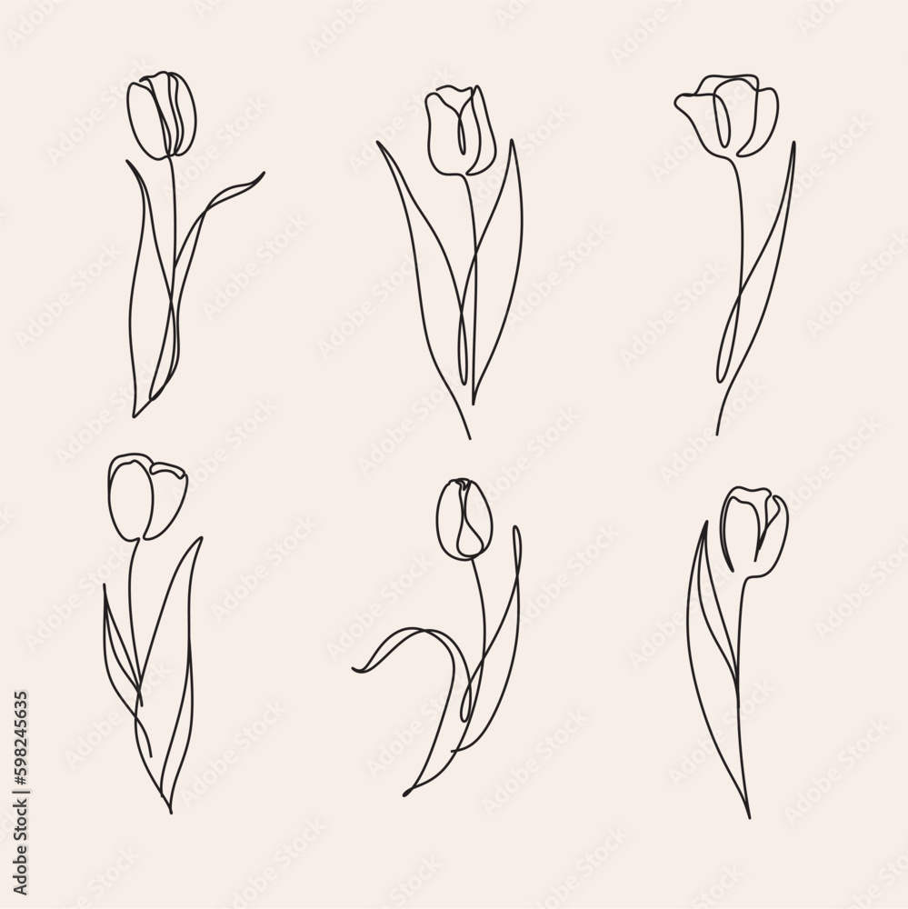 A line art drawing tulip flower vector set. Doodle botanical elegant minimalism floral plant