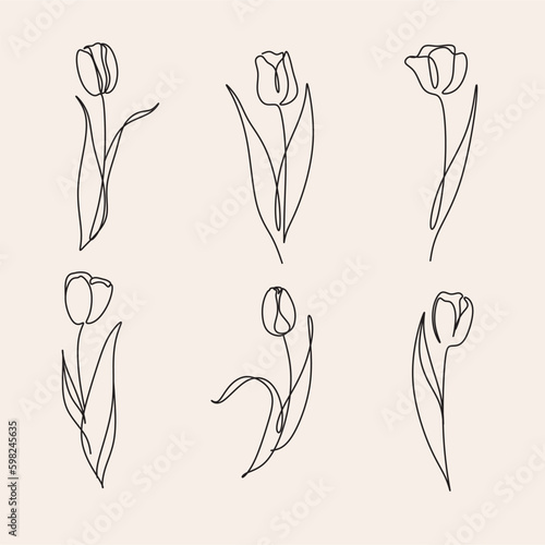 A line art drawing tulip flower vector set. Doodle botanical elegant minimalism floral plant #598245635