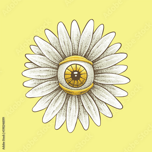 Eye of Daisy Flower