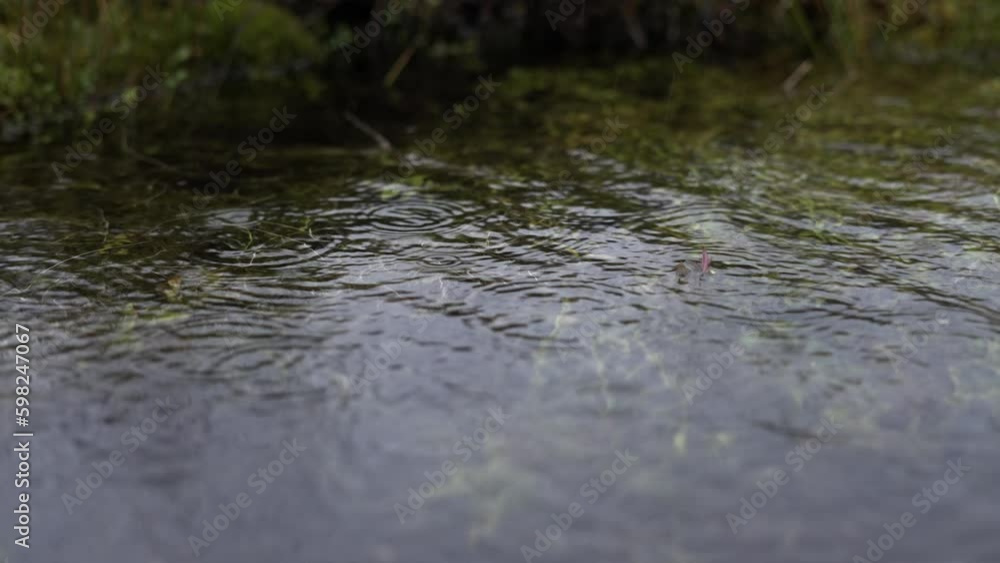 Close-up Of Raindrops On A Lake Close-up Of Raindrops On A Lake