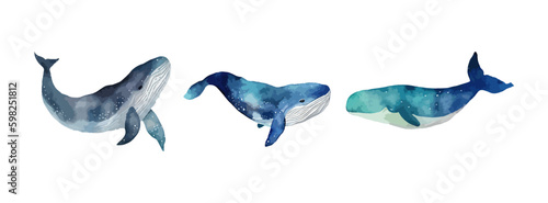 Whale watercolor set isolated on white background. Collection of underwater animal, ocean whale fish, sea nature drawing. Vector illustration