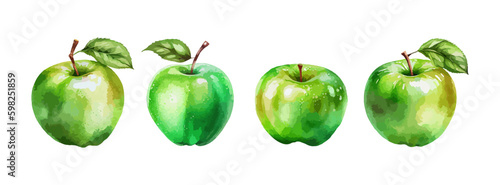 Green apple watercolor isolated on white background. Fresh summer fruit sweet set. Realistic apple vector illustration